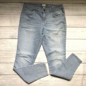 Style & Co Stripe Jeans